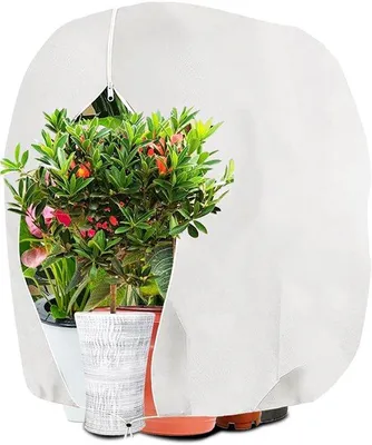 Image de Protection hivernale pour plantes, respirante, 140 x 200 cm, blanche
