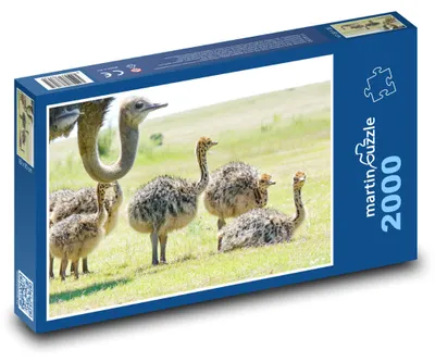 Obrázok produktu pre martinpuzzle - Puzzle 2000 - Štrúc s mládatami