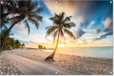 Produktbild von MuchoWow® 120x80 cm Outdoor-Poster Gartendeko Sichtschutz Garten Poster für den Garten  Sonnenuntergang - Strand - Palme