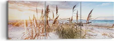 Produktbild von Bild auf Leinwand - Leinwandbild - 3 Teile - Möwe Meer Küste - 90x30cm - Wand Bild - Wanddeko - Wandbilder - Leinwanddruck - Bilder - Wanddekoration - Leinwand bilder - Wandbild - CA90x30-4902