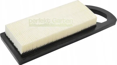 Immagine prodotto di Luftfilter Briggs & Stratton 695547 697014 697153 697605 697634 697776 698083