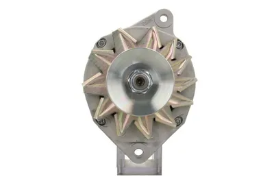 Produktbild von BV PSH 575.009.050.500 Lichtmaschine Generator LiMa 50A 12V