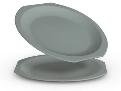Produktbild von Mehrwegteller Kunststoff (Grün, 2er-Pack) BPA-Frei Ø23 cm, Plastikteller Bruchfester PP Kunststoffteller für Haushalt, Camping & Garten