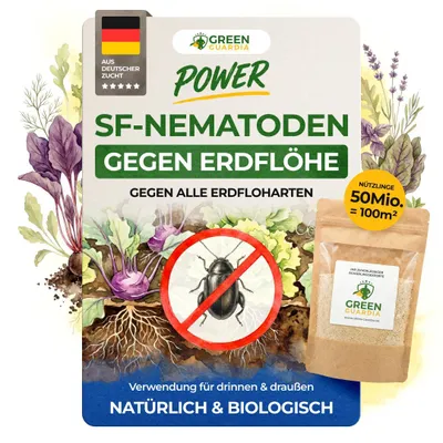 Produktbild von SF Nematoden gegen Erdflöhe - 50 Mio. für 100m² – Mittel gegen Erdflöhe im Haus & Garten, Effektive Erdfloh Bekämpfung, Biologisch Erdfloh bekämpfen