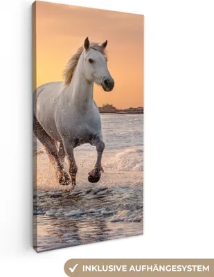 Produktbild von MuchoWow® - Leinwandbilder - Pferde - Sonne - Meer - Strand - Tiere, Wandbild, Wanddeko Bilder Wohnzimmer, 40x80 cm