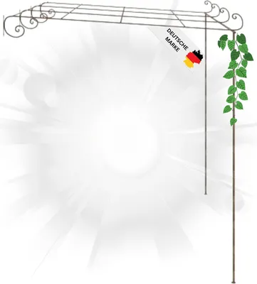 A metal pergola with a vine growing on it, set against a bright, abstract background.