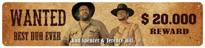 Produktbild von Bud Spencer & Terence Hill Blechschild Wanted 46 x 10 cm