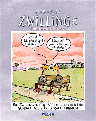 Produktbild von Zwillinge 2025