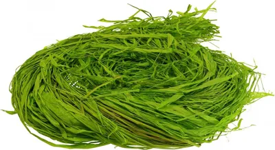 Produktbild von Naturbast Raffiabast Basteln Dekobast Floristikbedarf Apfelgrün 200g vielseitig