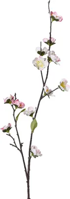 Produktbild von Künstlicher Kirschblütenzweig 70cm Zartrosa