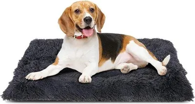 Immagine prodotto di Cuccia per cani Famanu, morbida e antiscivolo - 91 x 59 cm