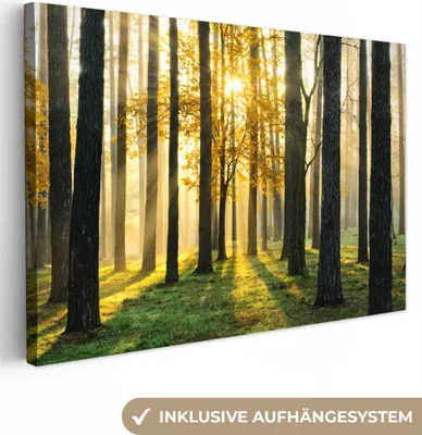Produktbild von MuchoWow® - Leinwandbilder - Wald - Sonne - Bäume - Gras - Landschaft - Natur, Wandbild, Wanddeko Bilder Wohnzimmer, 90x60 cm