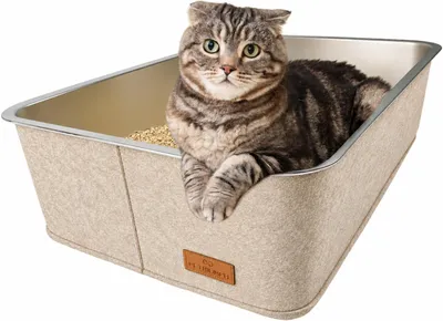 Produktbild von Petriumph® XXL Beige Katzenklo aus Edelstahl – Große Katzentoilette mit hohem Rand, KI-generiertes Bild