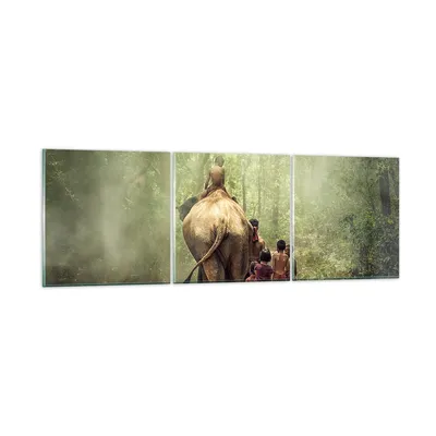 Produktbild von Bilder auf glas - Elefant Dschungel Nebel - 120x40cm - Glasbilder - Wandbilder - Kunstdruck - zum Aufhängen bereit - Wanddekoration aus Glas - Glas Bilder - Wandbild auf Glas - GCA120x40-3438