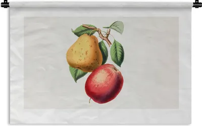 Produktbild von MuchoWow® Wandteppich Wandbehang Birne - Apfel - Obst 120x80 cm Tapisserie Dekoration Wandtuch - Wanddekorationen - Wandtücher