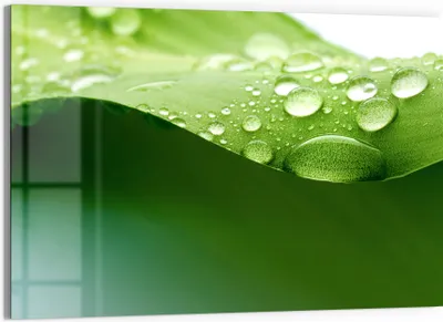 Produktbild von DEQORI Glasbild Echtglas 90x60 cm 'Tropfenfrische' Wandbild Bild modern Deko
