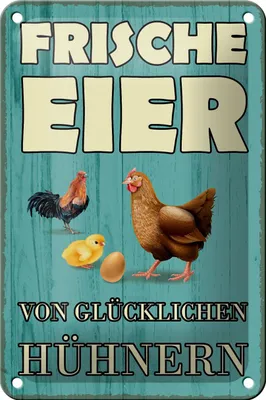 Produktbild von Blechschild Spruch 12x18cm frische Eier glückliche Hühner