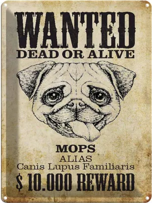 Produktbild von vianmo Blechschild 40x30 cm Hund wanted dead Mops Alias