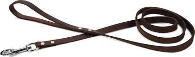 Produktbild von Beeztees - Hundeleine - genietet - braun - 165x16 cm