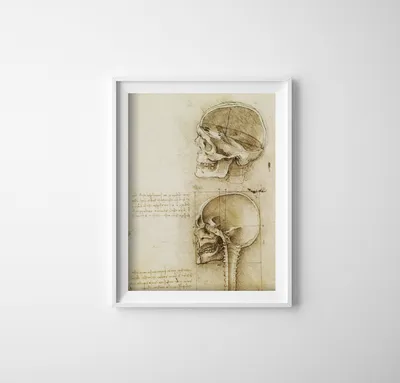 Produktbild von Poster - Canvas - Leinwand - 42 cm x 59,4 cm - Da Vinci-Schädel