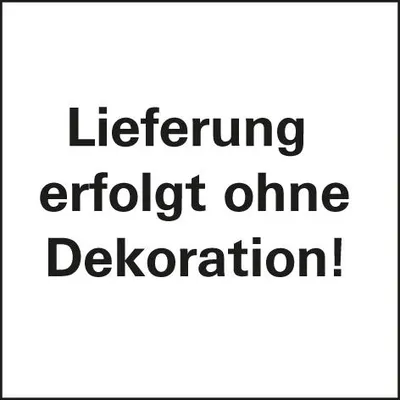 The image contains text on a white background, indicating that the delivery does not include decoration.
