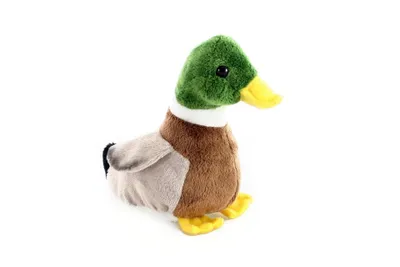 Obrázek produktu pro Plyš Kačer 16 cm