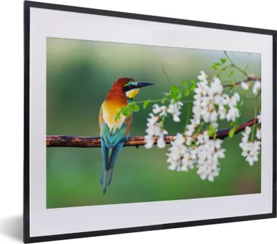 Produktbild von MuchoWow® Gerahmtes Poster Vogel - Bienenfresser - Blumen 40x30 cm - Poster mit Schwarzem Bilderrahmen Wandposter Rahmen Foto Bilder - Bilderrahmen - Poster im Rahmen