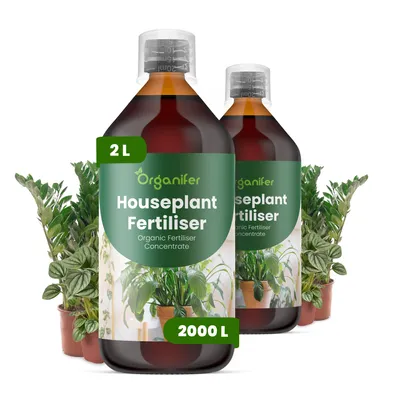 Obrázok produktu pre Tekuté hnojivo pre izbové rastliny, 2x 1 liter – vzorec NPK 2-1-8 – Vhodné pre okrasné izbové rastliny – Podporuje zdravý rast a bohatú zeleň – Organický produkt