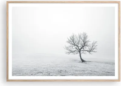 Produktbild von Gerahmtes Poster - Rahmen in heller Eiche - Baum Feld Natur - 100x70 cm - Wand Bild - Wanddeko - Wandbilder - Wandposter - Bilderrahmen - Bilder - Kunstdruck - Wandbild - P2NAA100x70-3683