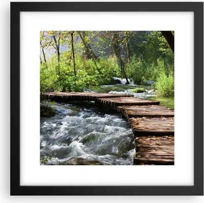 Produktbild von Gerahmtes Poster - Schwarzer Rahmen - Park natur grün bäume - 30x30 cm - Wand Bild - Wanddeko - Wandbilder - Kunstposter - Wandposter - Bilderrahmen - Bilder - Kunstdruck - Wandbild - P2BAC30x30-0356
