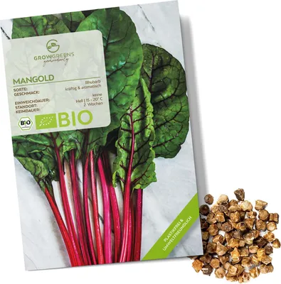 Produktbild von Mangold Samen (Rhubarb, 25 Korn) - Mangold Saatgut aus . Anbau