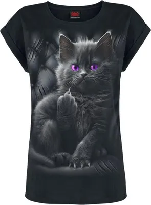 Produktbild von Spiral T-Shirt Damen Cattitude Girlie-Shirt schwarz XL