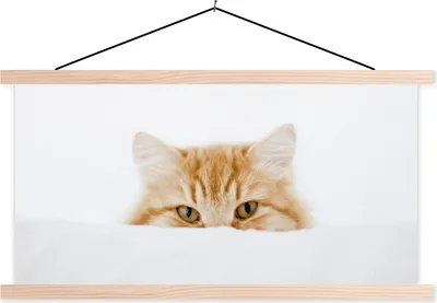 Produktbild von MuchoWow® Textilposter Katze - Rot - Weiß - Mädchen - Jungen - Kind 60x30 cm mit holzfarbenen Rahmen - Dekoration