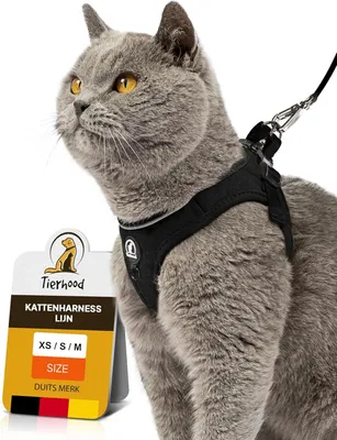 Image de Ensemble de collier et de laisse pour chat, réglable, avec une laisse de 1,8 mètre, idéal pour les chats actifs, de couleur noire, taille S