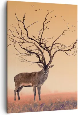 Produktbild von Bild auf Leinwand - Leinwandbild - Einteilig - Hirsch Baum Nebel Wald - 50x70cm - Wand Bild - Wanddeko - Wandbilder - Leinwanddruck - Wanddekoration - Leinwand bilder - Wandbild - PA50x70-3127