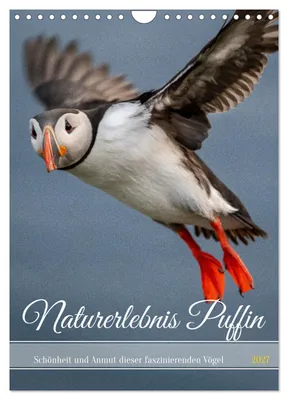 Productafbeelding van Naturbeleving Puffin (wandkalender 2027, formaat DIN A4, staand), CALVENDO maandkalender