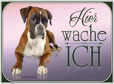 Produktbild von vianmo Holzschild 30x40 cm Hund Deutscher Boxer hier wache ich