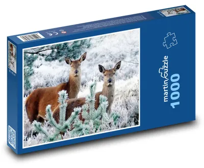 Zdjęcie produktu dla martinpuzzle - Puzzle 1000 - Jelon – zwierzęta