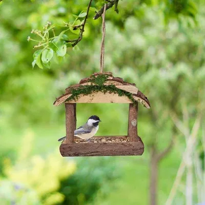 Productafbeelding van Famanu vogelhuisje, hout, hangend, 19 x 22 x 16,5 cm, geschikt voor kleine vogels, naturel