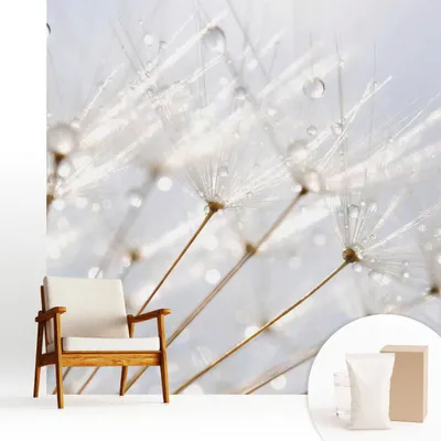 Obrázek produktu pro Samolepicí fototapeta – 250 x 250 cm – tapeta – nástěnná tapeta – nástěnné obrazy – samolepicí fólie – dekorativní fólie – tapetová fólie – stěna – dekorace – obývací pokoj – růžový pampeliška