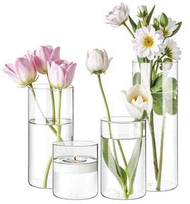 Produktbild von Solidchoice – 4 elegante Glasvasen für Blumenarrangements