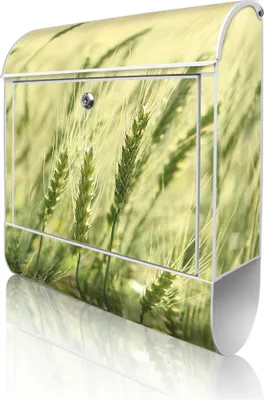Zdjęcie produktu dla banjado Design Skrzynka pocztowa stalowa biała z przegródką na gazety, malowana proszkowo „Junges Getreide” 38 x 46 x 12,5 cm i 2 klucze – skrzynka pocztowa A4 z otworem na listy, wraz z materiałami montażowymi [BK 11376]