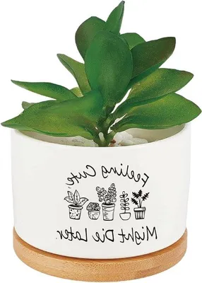 Immagine prodotto di Vasi da fiori in Vetroceramica bianchi: una soluzione pratica per interni ed esterni, ideali per cactus e altre piante grasse, dotati di sistema di drenaggio; un accessorio minimalista per l'ufficio e un regalo unico per gli amanti del giardinaggio e del design.