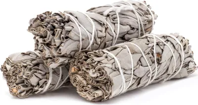 Three bundles of dried white sage tied with white string, presented on a white background.