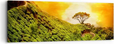 Produktbild von Bild auf Leinwand - Leinwandbild - Berg Baum Pfad Hügel - 90x30cm - Wand Bild - Wanddeko - Leinwanddruck - Bilder - Kunstdruck - Wanddekoration - Leinwand bilder - Wandkunst - AB90x30-2715