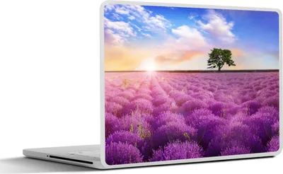 Produktbild von MuchoWow® Laptop Aufkleber Sticker Cover Lavendel - Baum - Sonnenuntergang - Lila 36.5x27.5 cm - Laptop-Sticker