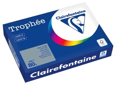 Image de Clairefontaine Kopierpapier 1993PC A4 80g stahlgrau 500Bl