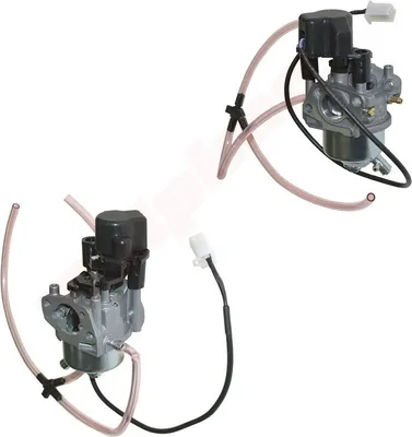 Image de Carburateur Pour Honda Eu3000I , Eu3000Is ( 16100-Zl0-D66 )