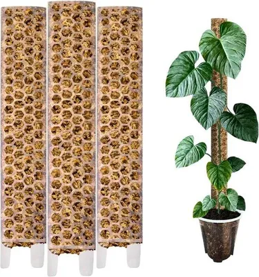 Produktbild von Pflanzständer - Klimständer für Bäume - Innenpflanzständer - Feuchtigkeitsschutz - 40 cm Länge - Holz