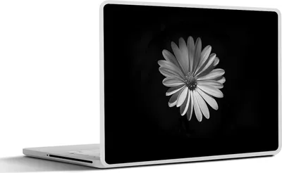 Produktbild von MuchoWow® Laptop Aufkleber Sticker Cover Ein weißes Gänseblümchen auf schwarzem Hintergrund 25x18 cm - Laptop-Deko